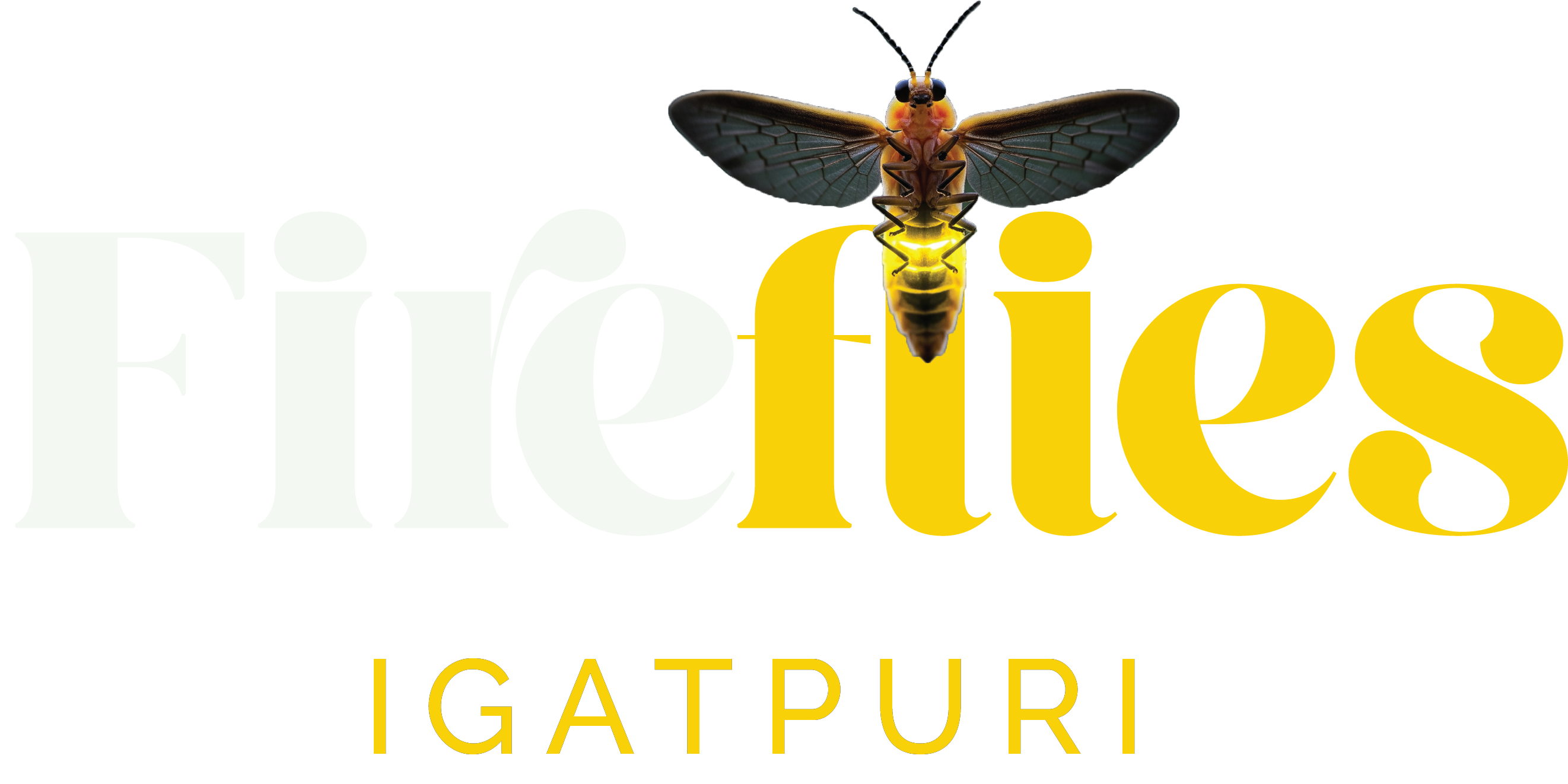 Fireflies Logo